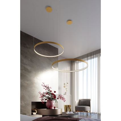 Thoro TH.181 - LED  Lustr na lanku RIO LED /50W/230V CRI 95 4000K pr. 78 cm zlatá